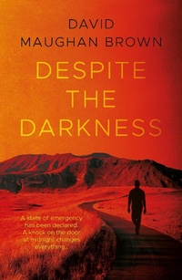 Abbildung von: Despite the Darkness - Matador