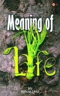 Cover: Meaning of Life - Diamond Books