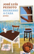 Cover: Regresso a casa - Editora Dublinense