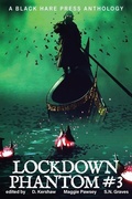 Cover: Lockdown Phantom #3 - Black Hare Press