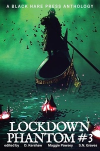 Enlarge image Cover: Lockdown Phantom #3 - Black Hare Press