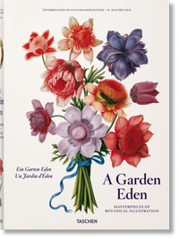 Abbildung von: A Garden Eden. Masterpieces of Botanical Illustration - TASCHEN