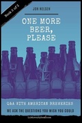 Cover: One More Beer, Please (Book Two) - Life Level Up