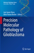 Cover: Precision Molecular Pathology of Glioblastoma - Springer
