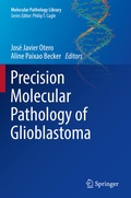 Cover: Precision Molecular Pathology of Glioblastoma - Springer