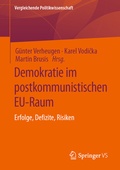 Cover: Demokratie im postkommunistischen EU-Raum - Springer VS