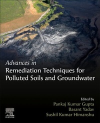 Abbildung von: Advances in Remediation Techniques for Polluted Soils and Groundwater - Elsevier