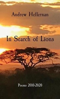 Enlarge image Cover: In Search of Lions - Andrew Heffernan
