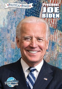 Enlarge image Cover: Political Power - TidalWave Productions