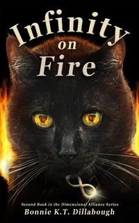 Enlarge image Cover: Infinity on Fire (The Dimensional Alliance 2nd edition, #2) - The Infinite Publishing Alliance