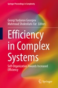 Cover: Efficiency in Complex Systems - Springer