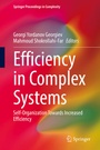 Cover: Efficiency in Complex Systems - Springer