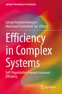 Cover: Efficiency in Complex Systems - Springer