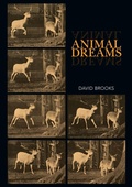 Cover: Animal Dreams - Sydney University Press