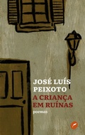 Cover: A crianca em ruinas - Editora Dublinense