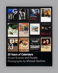 Cover: 20 Years of Calendars - Visual Profile Books