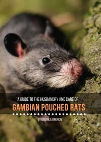 Abbildung von: Gambian Pouched Rats : A guide to their husbandry and care - Lulu.com