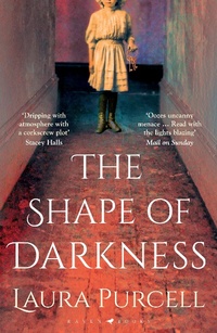 Abbildung von: The Shape of Darkness - Raven Books