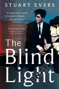 Enlarge image Cover: The Blind Light - Picador