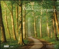 Cover: Waldspaziergang 2022 - Fotokunst-Kalender - Querformat 58,4 x 48,5 cm - Spiralbindung - DuMont Buchverlag