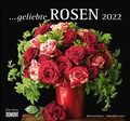 Cover: ... geliebte Rosen 2022 - DUMONT Wandkalender - mit allen wichtigen Feiertagen - Format 38,0 x 35,5 cm - DuMont Buchverlag
