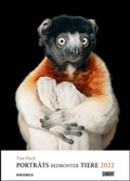 Cover: Tim Flach: Portr&auml;ts bedrohter Tiere 2022 - Tier-Fotografie - Poster-Kalender 50 x 70 cm - Spiralbindung - Knesebeck