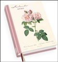 Cover: Redout&eacute;s Rosen Taschenkalender 2022 - Terminplaner mit Wochenkalendarium - Format 11,3 x 16,3 cm - DuMont Buchverlag