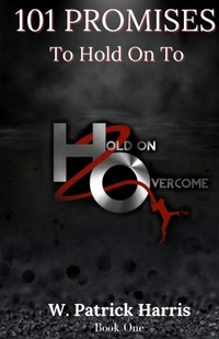 Enlarge image Cover: 101 Promises To Hold On To - Wayne Harris