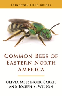 Abbildung von: Common Bees of Eastern North America - Princeton University Press