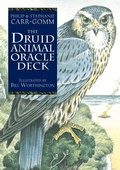 Cover: Flsh Card-Druid Animal Oracle - Red Wheel