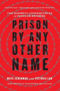Abbildung von: Prison by Any Other Name - The New Press