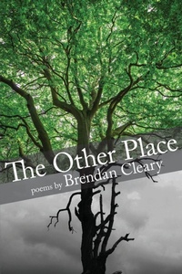 Enlarge image Cover: The Other Place - Pighog