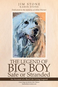 Enlarge image Cover: The Legend of Big Boy Safe or Stranded - Balboa Press