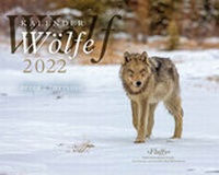Abbildung von: Wolfskalender 2022 - Weber Verlag AG