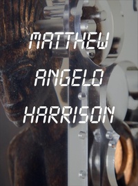 Enlarge image Cover: Matthew Angelo Harrison - MIT Press