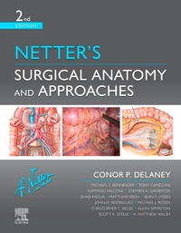 Abbildung von: Netter's Surgical Anatomy and Approaches - Elsevier