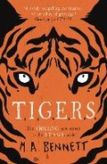 Cover: STAGS 4: TIGERS - Hot Key Books