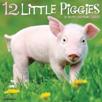 Abbildung von: 12 Little Piggies 2022 Wall Calendar - Willow Creek Press