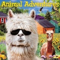 Cover: Animal Adventures 2022 Wall Calendar - Willow Creek Press Calendars