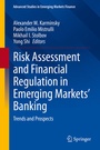 Cover: Risk Assessment and Financial Regulation in Emerging Markets' Banking - Springer