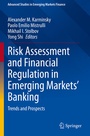 Cover: Risk Assessment and Financial Regulation in Emerging Markets' Banking - Springer