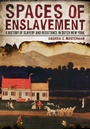 Cover: Spaces of Enslavement - Cornell University Press