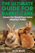 Cover: The Ultimate Guide for Rabbit Care - Charlie Creative Lab