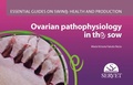 Bild: Ovarian Pathophysiology in the Sow - Essential Guides on Swine Health and Production - Servet