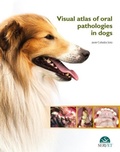 Bild: Visual Atlas of Oral Pathologies in Dogs - Servet