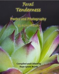 Cover: Feral Tenderness - WordCrafter Press