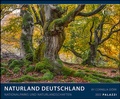 Cover: Naturland Deutschland 2022 - Bild-Kalender - Poster-Kalender - 60x50 - Palazzi
