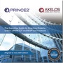 Bild: The executive guide to directing projects - Stationery Office Books