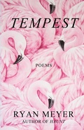 Cover: Tempest - Ryan Meyer