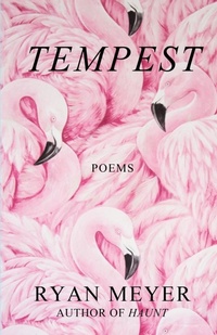 Enlarge image Cover: Tempest - Ryan Meyer